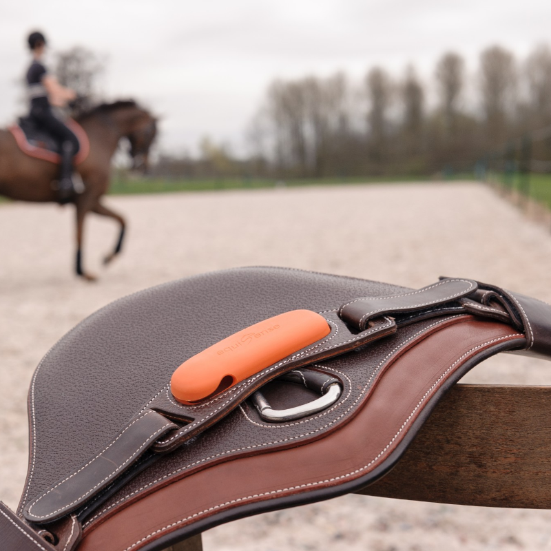 Equisense - Pack Motion One bruin leer | - Ohlala