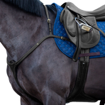 Dyon - Borsttuig met lange brug D Collection zwart | - Ohlala