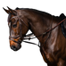 Dyon - Volledige Howlett-inrening Working by Dyon bruin | - Ohlala