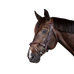 Dyon - Bridon tressé avec noseband amovible New English Collection marron | - Ohlala