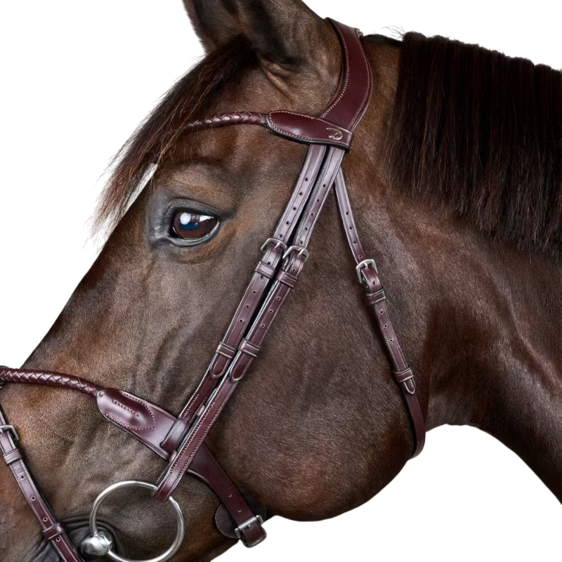 Dyon - Bridon tressé avec noseband amovible New English Collection marron
