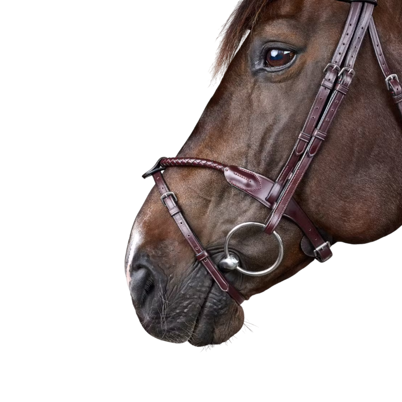 Dyon - Bridon tressé avec noseband amovible New English Collection marron