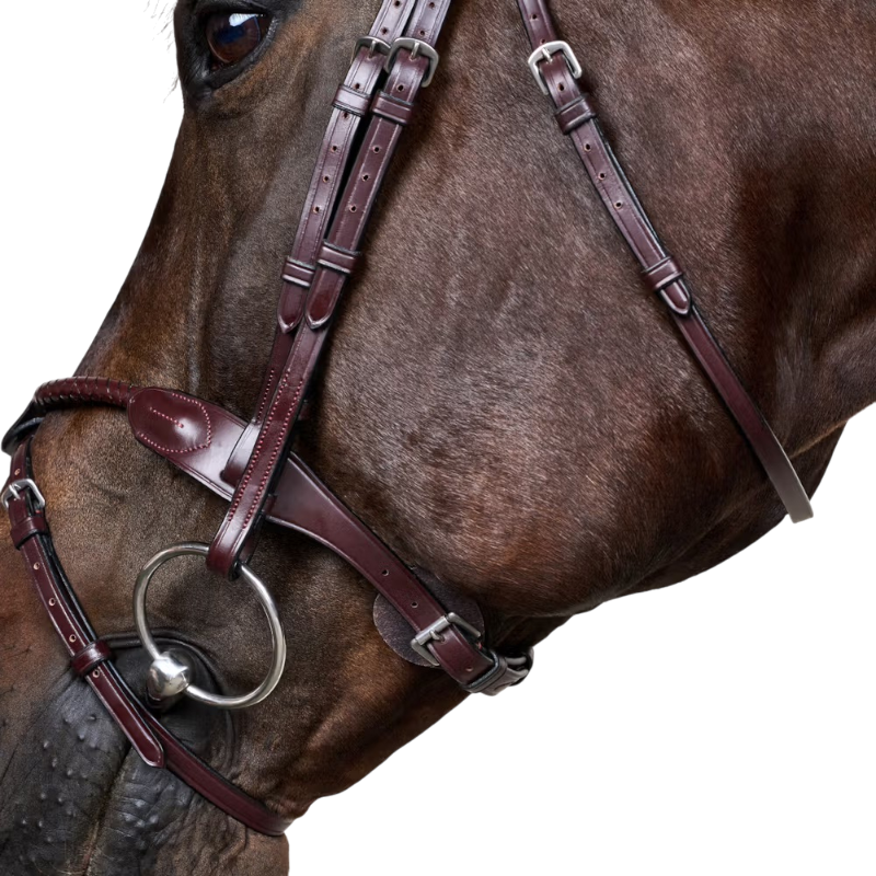 Dyon - Bridon tressé avec noseband amovible New English Collection marron
