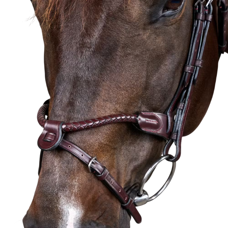 Dyon - Bridon tressé avec noseband amovible New English Collection marron