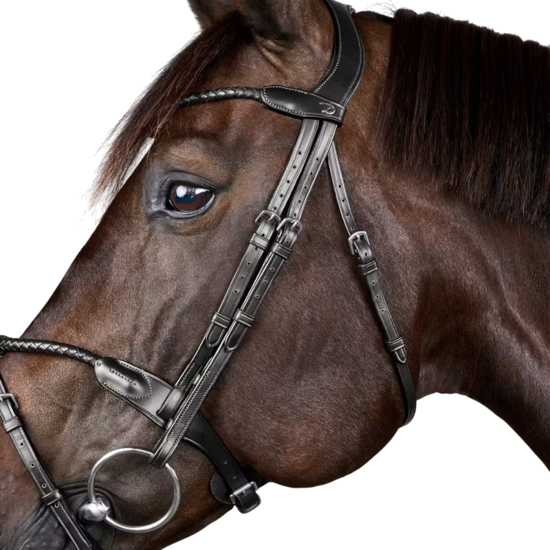 Dyon - Bridon tressé avec noseband amovible New English Collection noir