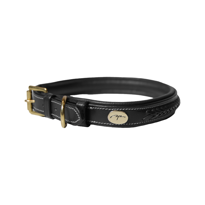 Dyon - Collier pour chien tressé plat noir