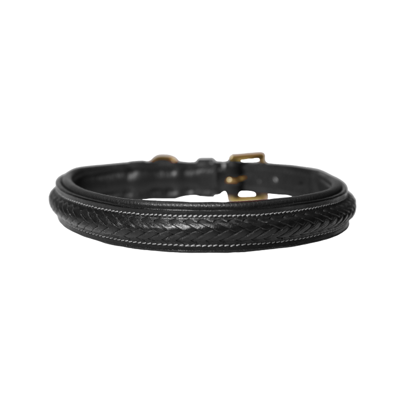 Dyon - Collier pour chien tressé plat noir