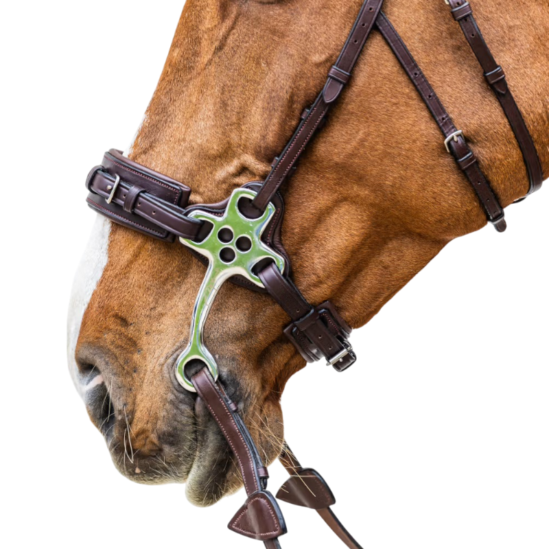 Dyon - Hackamore New English Collection marron