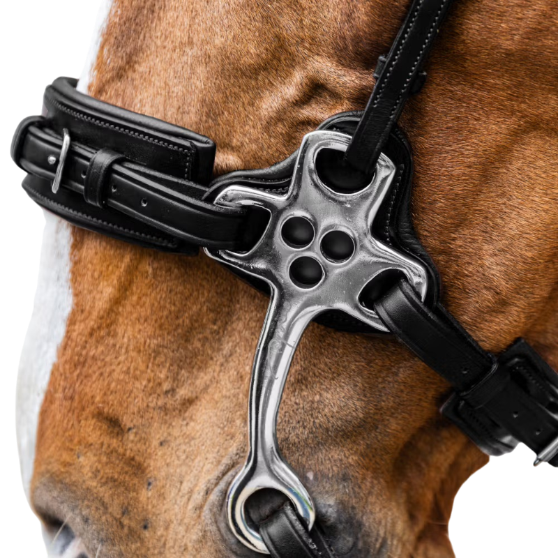 Dyon - Hackamore New English Collection noir