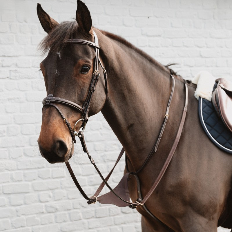 Dyon - Martingale pleine en cuir souple Dyon Collection marron