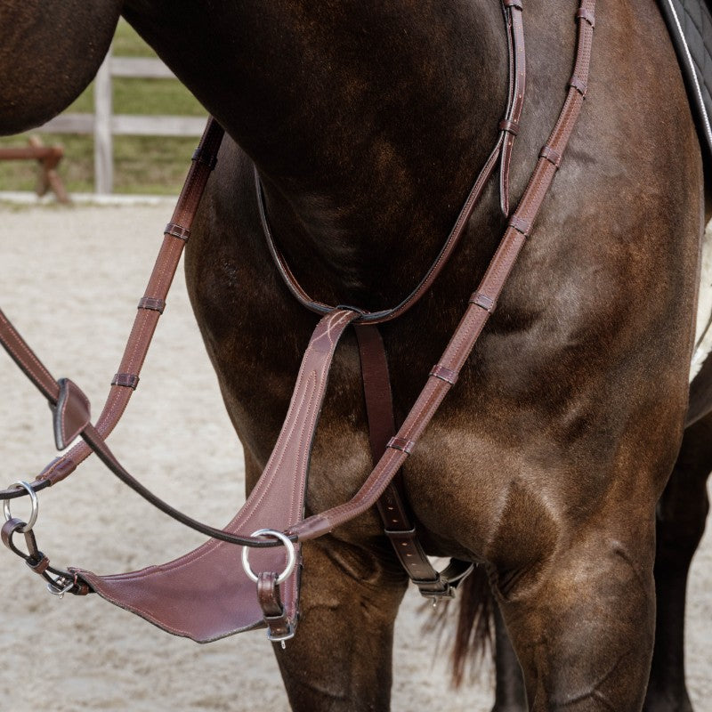 Dyon - Martingale pleine en cuir souple New English Collection marron