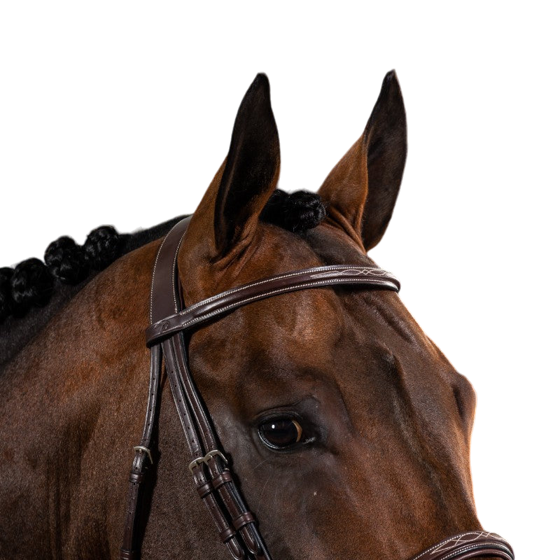 Dyon - Bridon muserolle française US Collection havane | - Ohlala