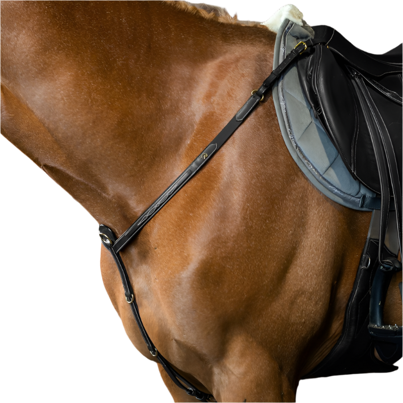 Dyon - Collier de chasse D Collection noir