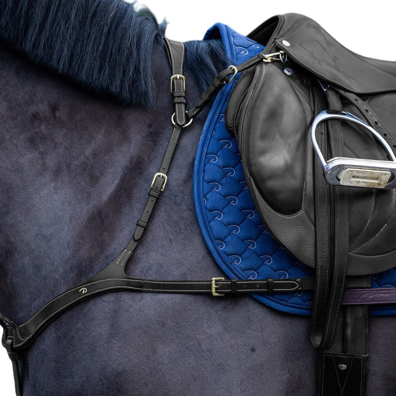 Dyon - Collier de chasse anatomique D Collection noir