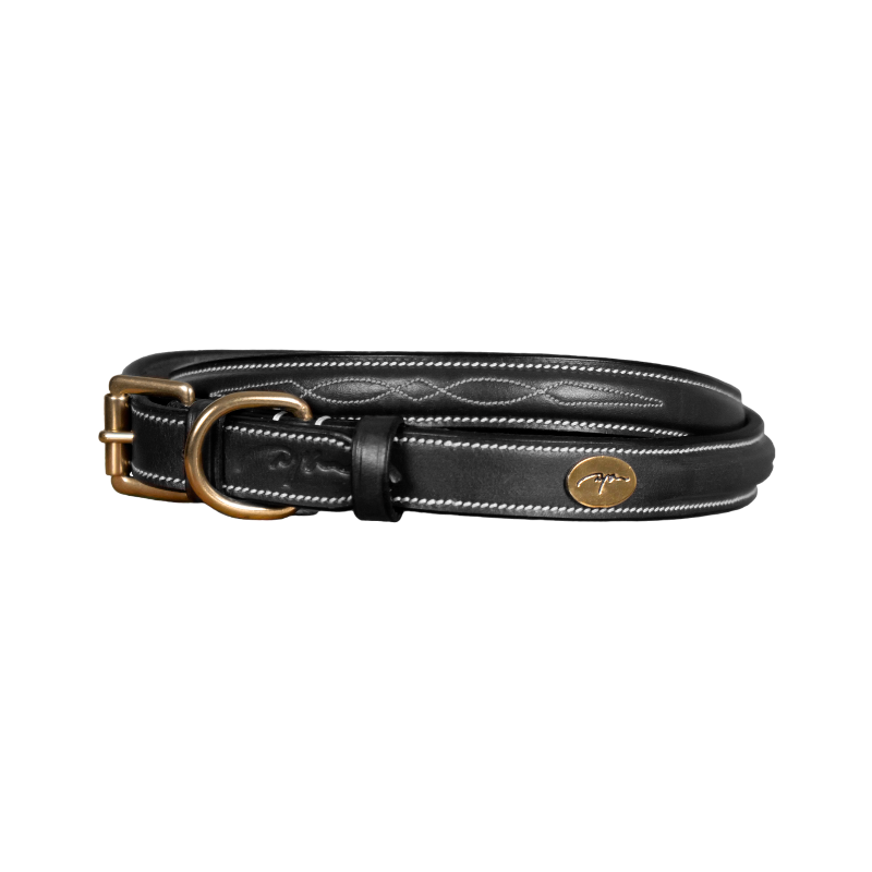 Dyon - Collier pour chien Fancy noir