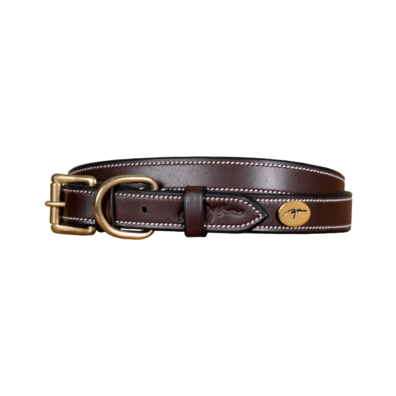 Dyon - Collier pour chien cuir Plat brun