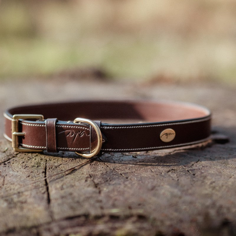 Dyon - Collier pour chien cuir Plat brun