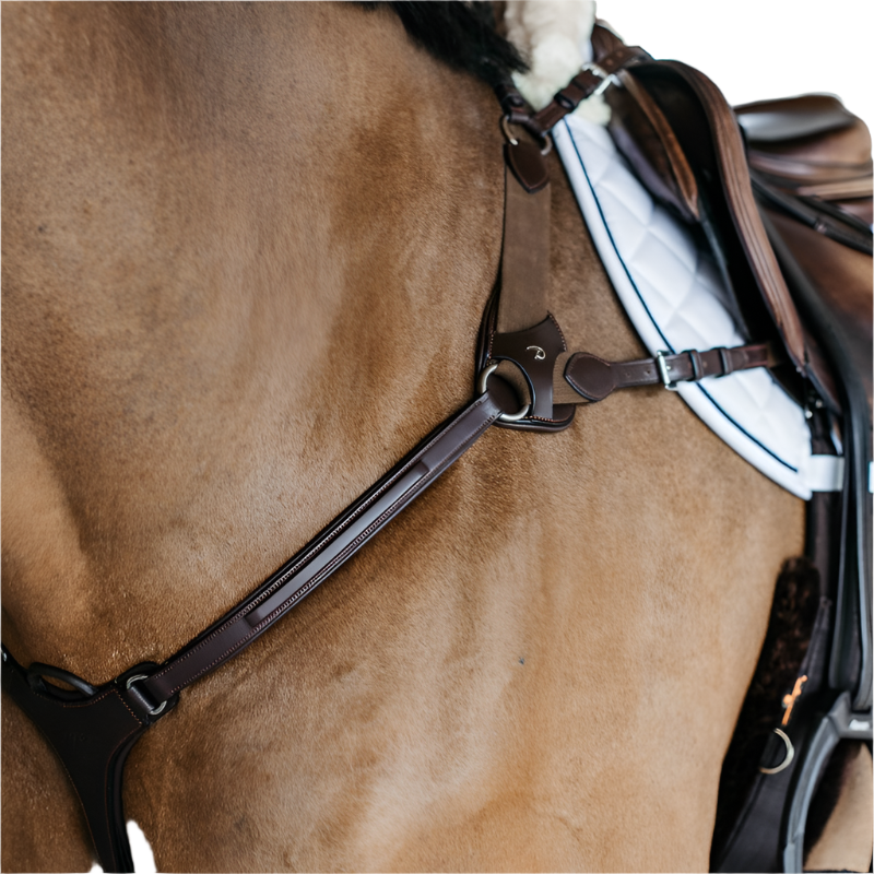 Dyon - Collier de chasse 5 points élastique New English Collection marron