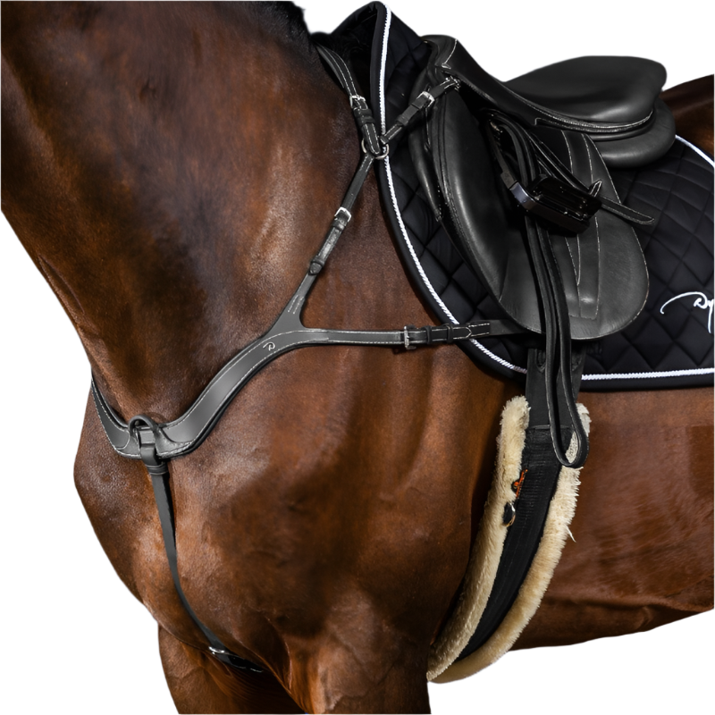 Dyon - Collier de chasse anatomique US Collection noir