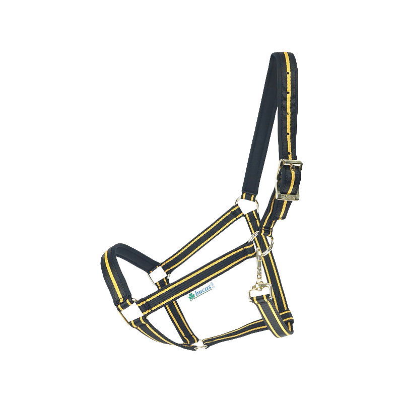 Bucas - Licol Dublin noir/ gold