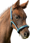 Bucas - Licol foal Dublin striped/ marine
