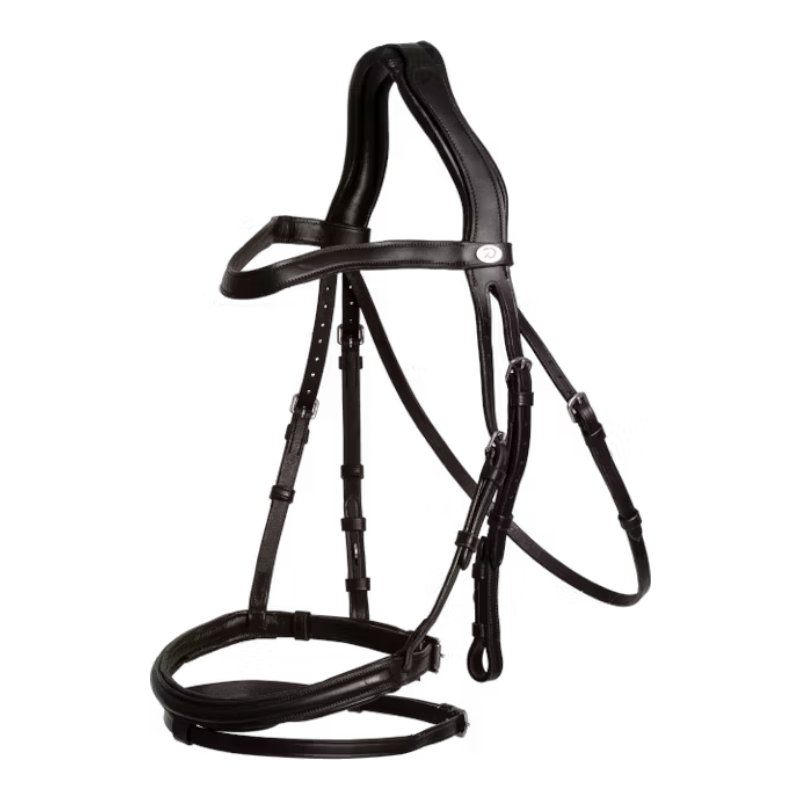 Dyon - Bridon muserolle combinée Flash noir