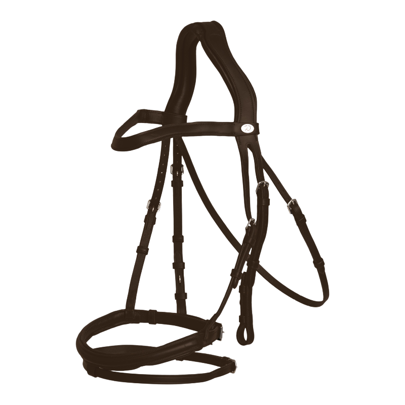 Dyon - Bridon muserolle combinée Flash marron