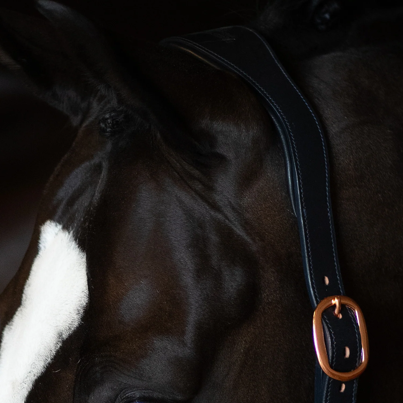 Equestrian Stockholm - Licol en cuir Glimmer Dark Ocean