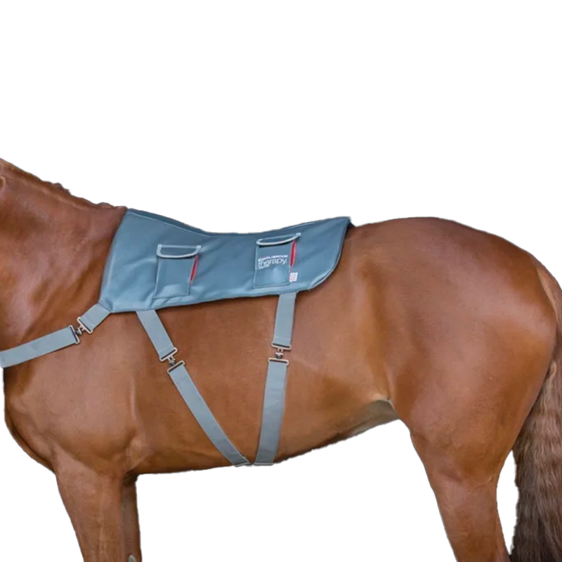 Couverture magnétique Equilibrium, sellerie Horse and Co, equipement du  cheval