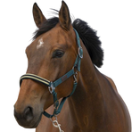 Equithème - Nylon halster Chevron donkergroen | - Ohlala