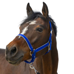 Equithème - Nylon halster Light koningsblauw | - Ohlala