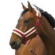 Equithème - Licol nylon Mouton bordeaux/ blanc | - Ohlala