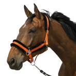 Equithème - Licol nylon Mouton orange/ noir | - Ohlala