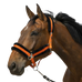 Equithème - Nylon halster Mouton oranje/zwart | - Ohlala