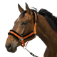 Equithème - Licol nylon Mouton orange/ noir | - Ohlala