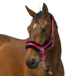 Equithème - Licol nylon Mouton rose/ noir | - Ohlala