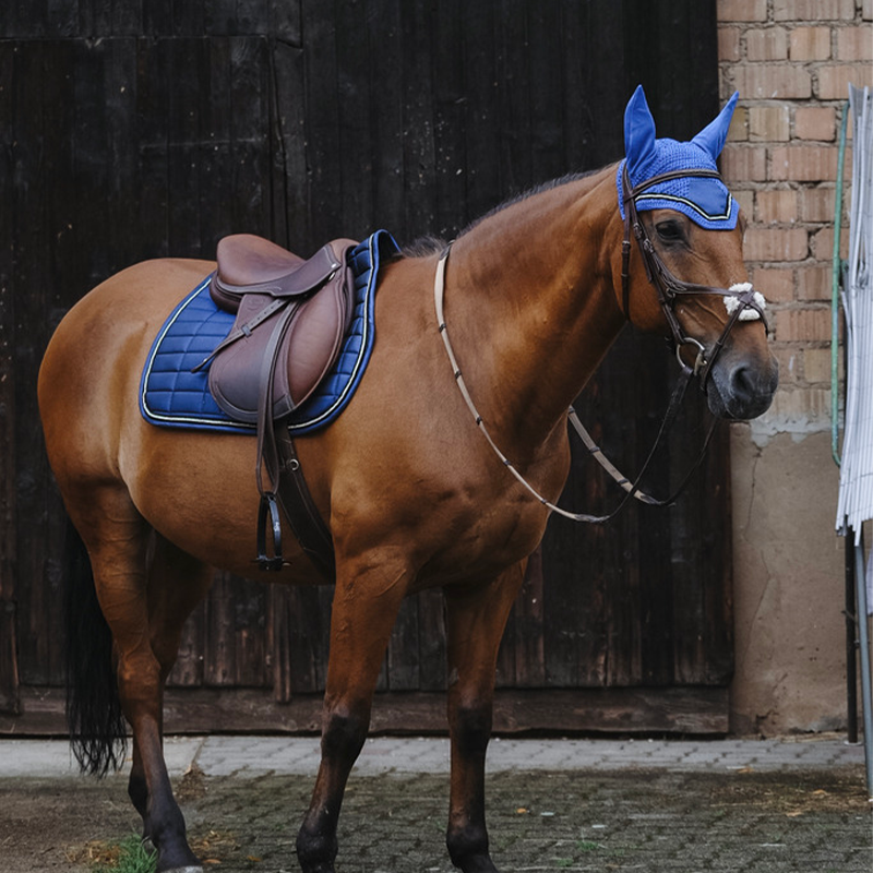 Equithème - Tapis de selle Domino bleu roi | - Ohlala