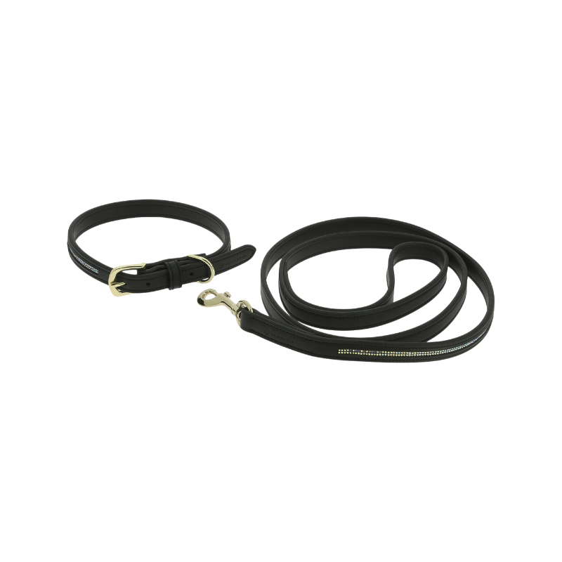 Equithème - Collier et laisse pour chien Max noir