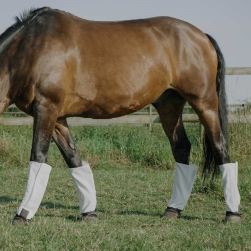 Equithème - Anti-vlieg anti-UV beenbeschermers