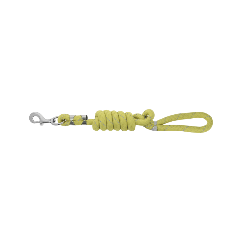 Equithème - Laisse pour chien Rio jaune