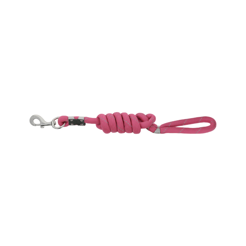 Equithème - Laisse pour chien Rio rose