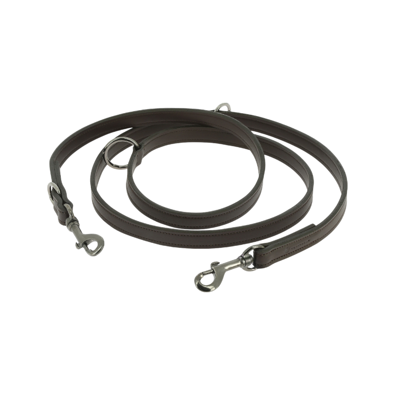 Equithème - Laisse pour chien Vortex marron