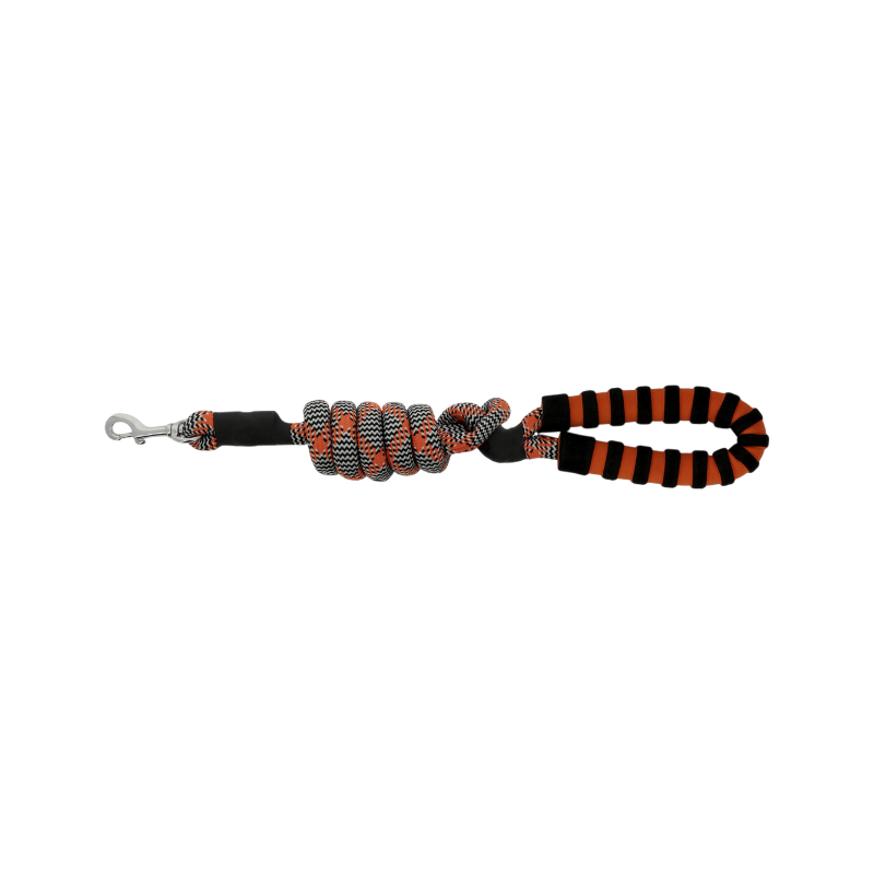 Equithème - Laisse pour chien avec poignée Haspen noir/ orange