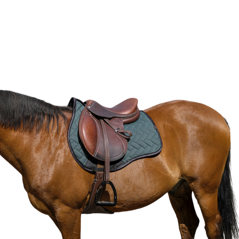 Equithème - Tapis de selle Impulsion vert