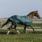 Equithème - Buitendeken Tyrex 600D 150g groen | - Ohlala