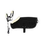 Equithème - Set licol + couverture pour mini poney noir glitter