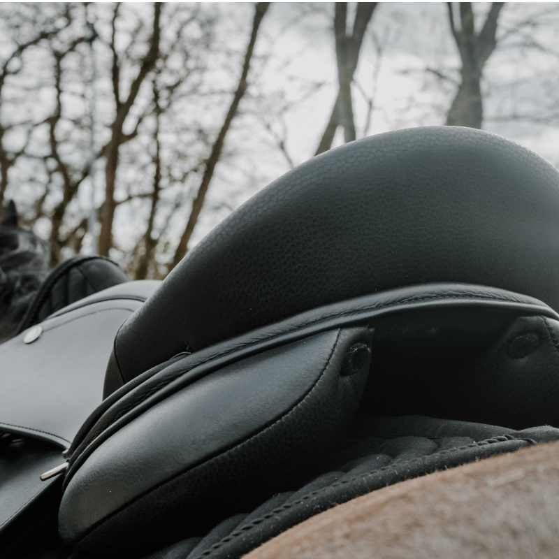 Eric Thomas - Selle Hybrid Confortech Mixte noir