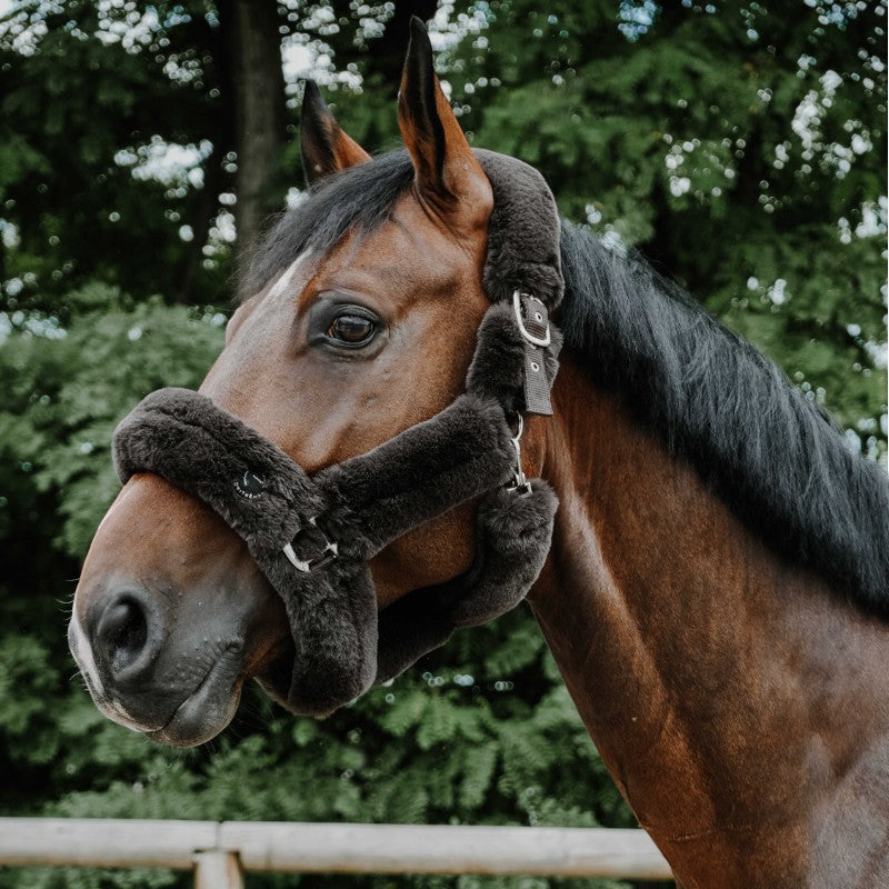 Equithème - Licol pour chevaux Snuggy Je t'aime marron