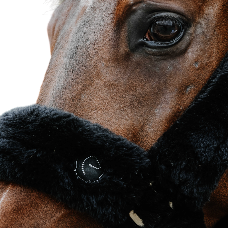 Equithème - Licol pour chevaux Snuggy Je t'aime noir