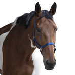 Equithème - Nylon halster koningsblauw | - Ohlala